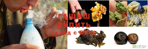 гашик Верея