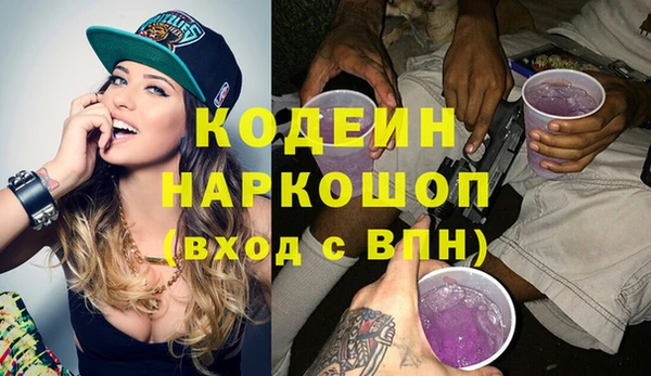гашик Верея