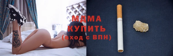 гашик Верея