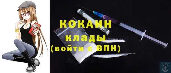 гашик Верея