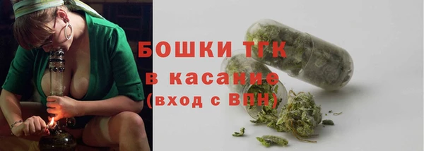 гашик Верея