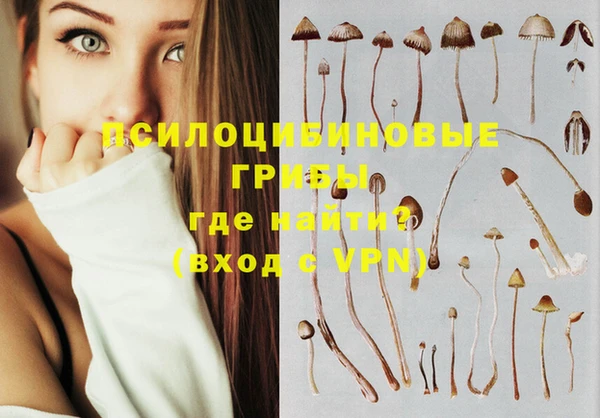 PSILOCYBIN Верхнеуральск