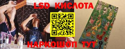 сатива Сланцы