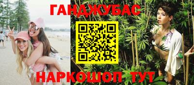 гашик Славгород