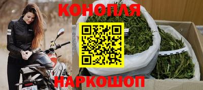 гашик Славгород
