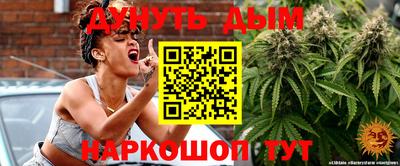гашик Славгород