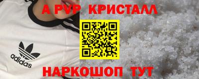 гашик Славгород