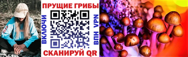 где можно купить   Мончегорск  Галлюциногенные грибы прущие грибы 
