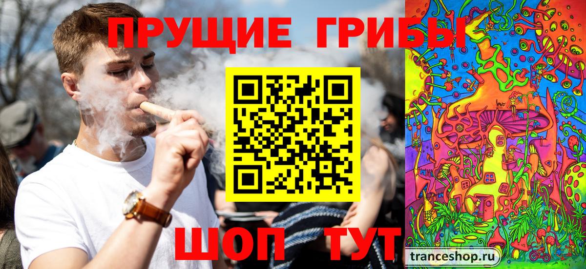 Псилоцибиновые грибы Psilocybine cubensis Мончегорск
